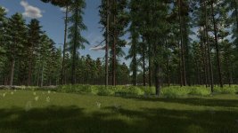into-the-woods-v1.0-1.jpg