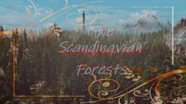 scandinavian-forest-1.jpg
