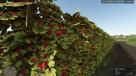 zielonka-real-orchards-multifruit-v1.2-2.jpg