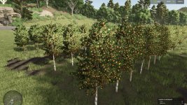 hutan-pantai-real-orchards-multifruit-beta-6.jpg hutan-pantai-real-orchards-multifruit-beta-6.jpg