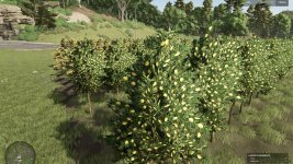 hutan-pantai-real-orchards-multifruit-beta-5.jpg hutan-pantai-real-orchards-multifruit-beta-5.jpg