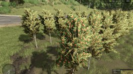 hutan-pantai-real-orchards-multifruit-beta-4.jpg hutan-pantai-real-orchards-multifruit-beta-4.jpg