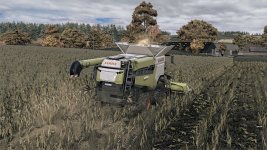 corn-texture-new-gen-v1.0-2.jpg