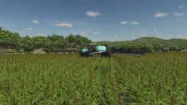 berthoud-bruin-4200-v1.0-4.jpg