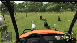 animal-herding-lite-v1.1-3.jpg