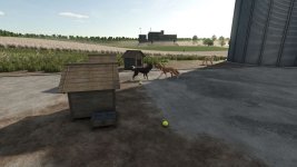 who-let-the-dogs-out-v1.0-3.jpg