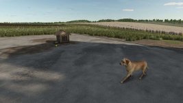 who-let-the-dogs-out-v1.0-1.jpg