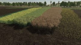 realistic-canola-growth-cycle-in-europe-v1.0-3.jpg realistic-canola-growth-cycle-in-europe-v1.0-3.jpg