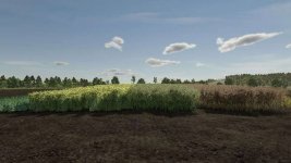 realistic-canola-growth-cycle-in-europe-v1.0-2.jpg realistic-canola-growth-cycle-in-europe-v1.0-2.jpg
