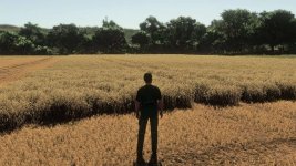realistic-wheat-a-barley-europe-growth-cycle-v1.0-1.jpg realistic-wheat-a-barley-europe-growth-cycle-v1.0-1.jpg