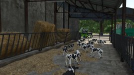 feret-calf-stall-v1.0-2.jpg