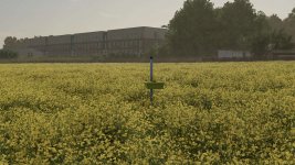 yellow-tray-v1.1-5.jpg