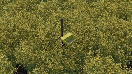 yellow-tray-v1.1-1.jpg