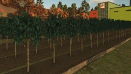 fruit-orchards-v1.2.0.6-2.jpg