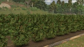 fruit-orchards-v1.2.0.6-6.jpg