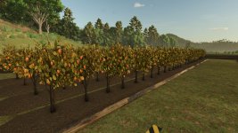 fruit-orchards-v1.2.0.6-5.jpg