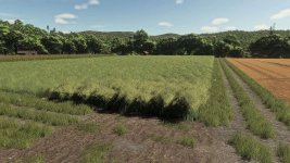 realistic-canola-growth-cycle-in-europe-v1.0.0.1-4.jpg