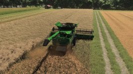 realistic-canola-growth-cycle-in-europe-v1.0.0.1-3.jpg