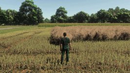 realistic-canola-growth-cycle-in-europe-v1.0.0.1-2.jpg