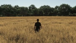 realistic-oat-growth-cycle-in-europe-v1.0-5.jpg realistic-oat-growth-cycle-in-europe-v1.0-5.jpg