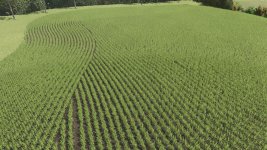 suedbrazil-4x-n-row-crop-system-v1.0-2.jpg suedbrazil-4x-n-row-crop-system-v1.0-2.jpg