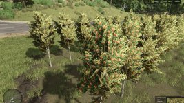 hutan-pantai-real-orchards-multifruit-v1.0-4.jpg