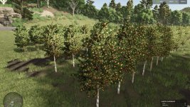 hutan-pantai-real-orchards-multifruit-v1.0-3.jpg