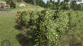 hutan-pantai-real-orchards-multifruit-v1.0-1.jpg