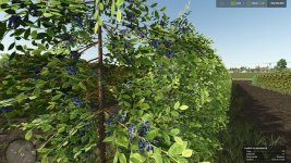 zielonka-real-orchards-multifruit-v1.3-3.jpg zielonka-real-orchards-multifruit-v1.3-3.jpg