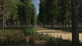 staby-forest-v1.0-5.jpg
