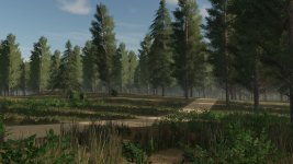 staby-forest-v1.0-4.jpg