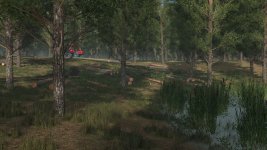 staby-forest-v1.0-3.jpg