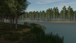 staby-forest-v1.0-1.jpg