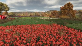 riverbend-springs-multifruit-v1.4-5.jpg riverbend-springs-multifruit-v1.4-5.jpg