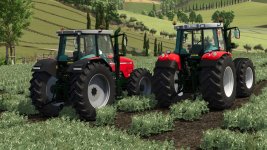massey-ferguson-6290-beta-4.jpg