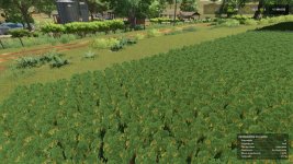 terras-alagadas-v1.0.0.0beta-4.jpg