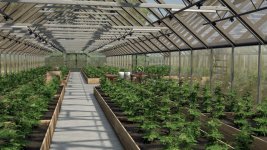 large-glass-greenhouse-package-v1.0-3.jpg large-glass-greenhouse-package-v1.0-3.jpg