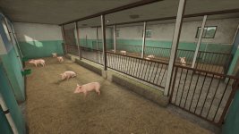 small-pigsty-v1.0-5.jpg