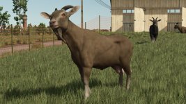 animal-package-vanilla-edition-v1.0.2.1-4.jpg animal-package-vanilla-edition-v1.0.2.1-4.jpg