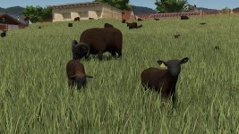 animal-package-vanilla-edition-v1.0.2.1-3.jpg animal-package-vanilla-edition-v1.0.2.1-3.jpg