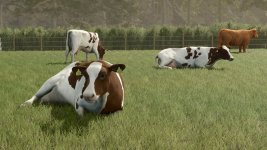 animal-package-vanilla-edition-v1.0.2.1-1.jpg animal-package-vanilla-edition-v1.0.2.1-1.jpg