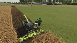 lizard-silage-additve-v1.1-1.jpg