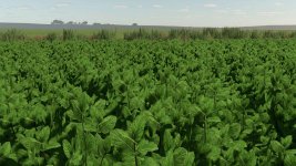 mint-foliage-v1.0-3.jpg