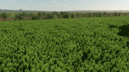 mint-foliage-v1.0-1.jpg