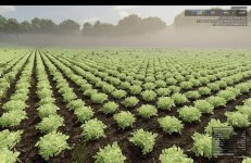 fs25-okra-and-edamame-prefab-v1.0-4.jpg