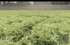 fs25-okra-and-edamame-prefab-v1.0-2.jpg
