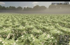 fs25-okra-and-edamame-prefab-v1.0-1.jpg