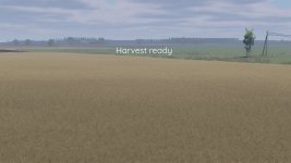 better-canola-texture-v1.0-4.jpg