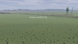 better-canola-texture-v1.0-3.jpg