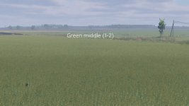 better-canola-texture-v1.0-2.jpg